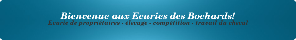 Bienvenue aux Ecuries des Bochards!